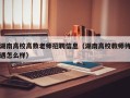 湖南高校高数老师招聘信息（湖南高校教师待遇怎么样）