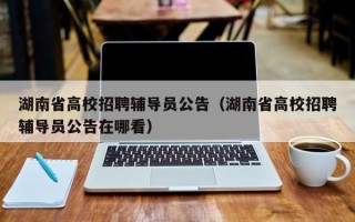 湖南省高校招聘辅导员公告（湖南省高校招聘辅导员公告在哪看）