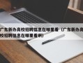 广东新办高校招聘信息在哪里看（广东新办高校招聘信息在哪里看啊）