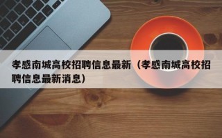 孝感南城高校招聘信息最新（孝感南城高校招聘信息最新消息）