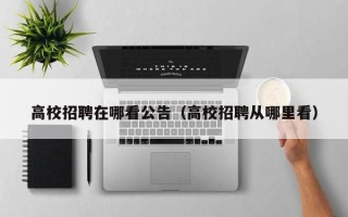 高校招聘在哪看公告（高校招聘从哪里看）