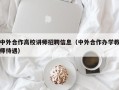中外合作高校讲师招聘信息（中外合作办学教师待遇）