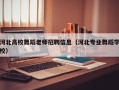 河北高校舞蹈老师招聘信息（河北专业舞蹈学校）