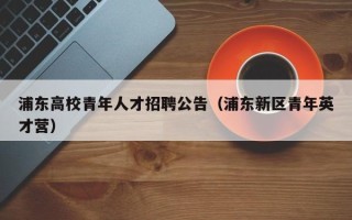 浦东高校青年人才招聘公告（浦东新区青年英才营）
