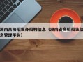 湖南高校招生办招聘信息（湖南省高校招生信息管理平台）
