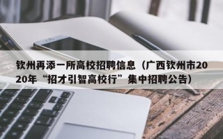 钦州再添一所高校招聘信息（广西钦州市2020年“招才引智高校行”集中招聘公告）