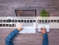 沧州招聘高校教师信息查询（河北省沧州市招聘教师信息）