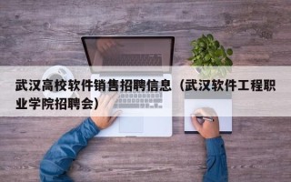 武汉高校软件销售招聘信息（武汉软件工程职业学院招聘会）