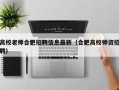 高校老师合肥招聘信息最新（合肥高校师资招聘）