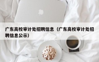广东高校审计处招聘信息（广东高校审计处招聘信息公示）