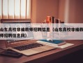 山东高校非编教师招聘信息（山东高校非编教师招聘信息网）