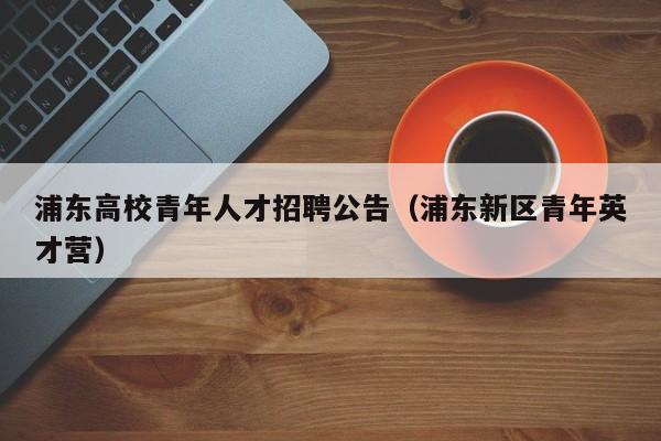 浦东高校青年人才招聘公告（浦东新区青年英才营）-第1张图片-高校人才招聘