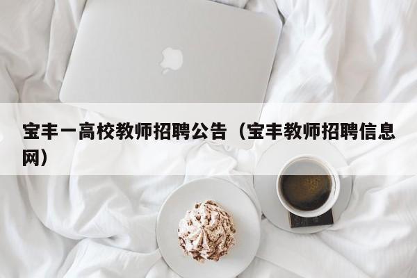宝丰一高校教师招聘公告（宝丰教师招聘信息网）-第1张图片-高校人才招聘