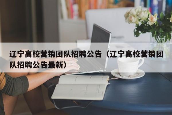 辽宁高校营销团队招聘公告（辽宁高校营销团队招聘公告最新）-第1张图片-高校人才招聘
