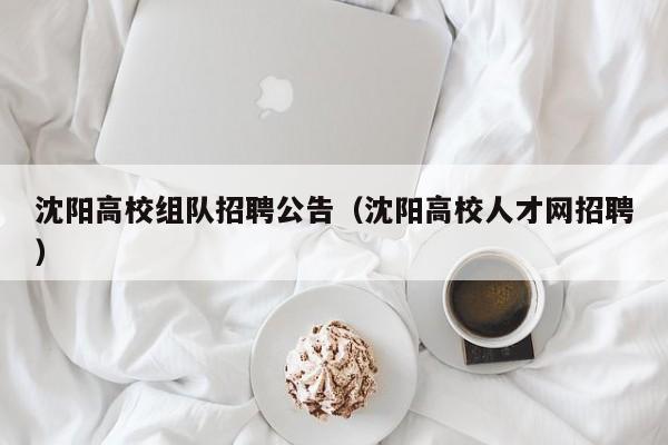 沈阳高校组队招聘公告（沈阳高校人才网招聘）-第1张图片-高校人才招聘