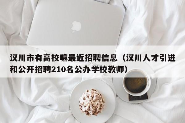 汉川市有高校嘛最近招聘信息（汉川人才引进和公开招聘210名公办学校教师）-第1张图片-高校人才招聘